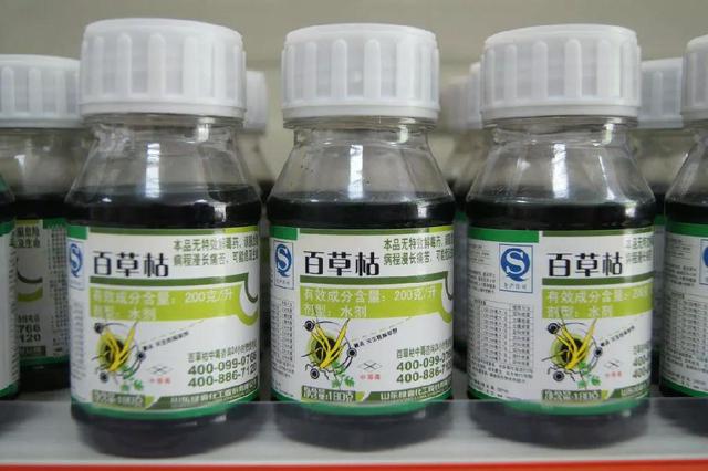 喝了百草枯真的必死无疑吗?还能不能抢救?