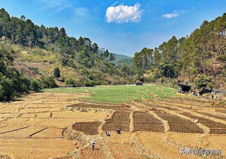 泰国旅游景点有哪些（ 21个泰国热门旅游景点盘点）