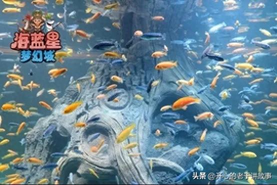 沈阳海蓝星梦幻城,孩子们的乐园