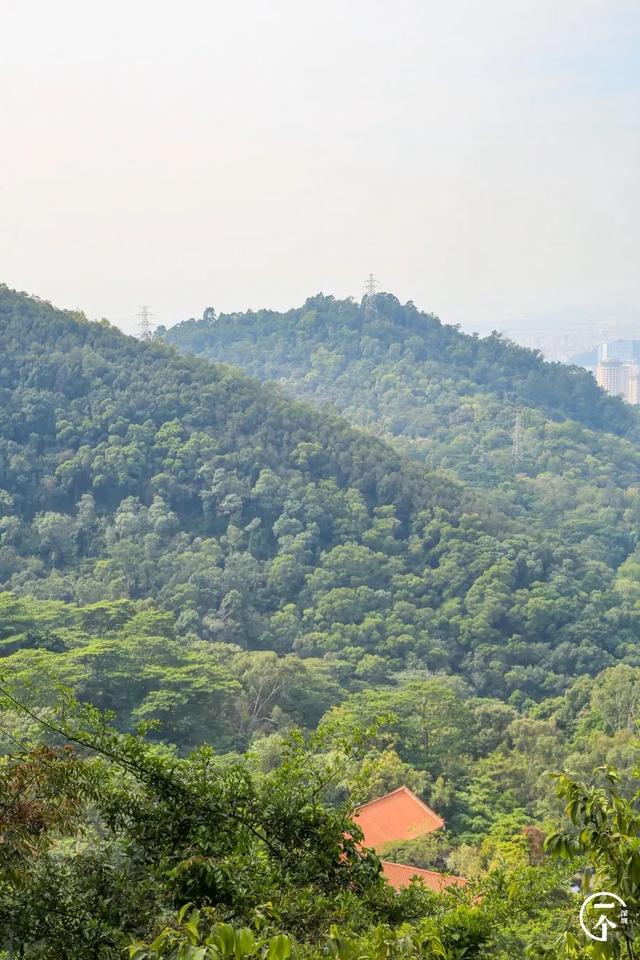 鳳凰山的山頂面積雖然不大,但山頂錯落的有好些巨石,可以爬到巨石上