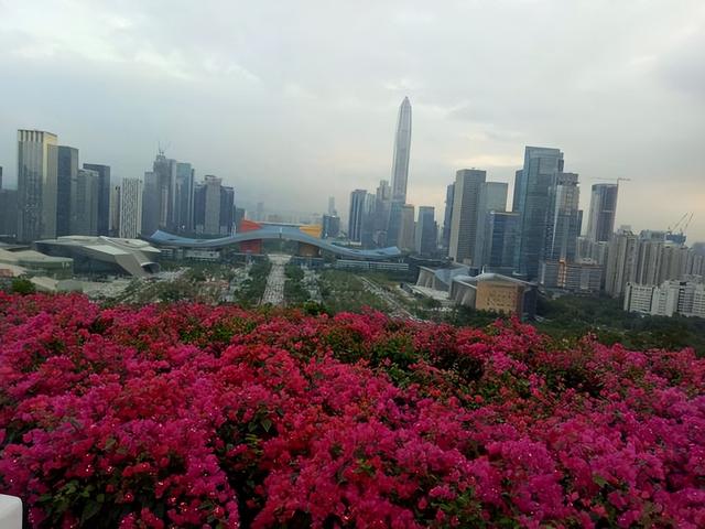 改革开放，深圳崛起成为一个现代化城市，莲花山公园你来拍照吗？