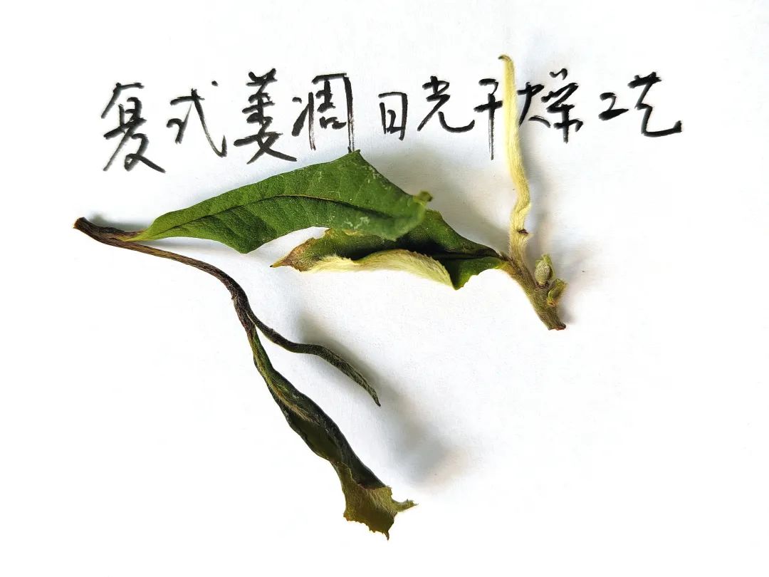 白茶怎样区分好坏（细说好白茶七大鉴别标准）