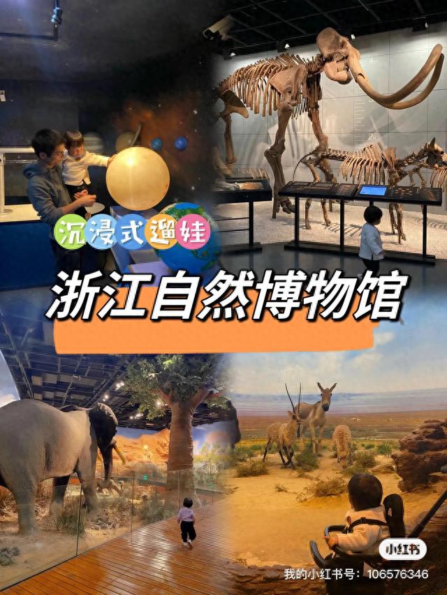 杭州遛娃推荐｜超全浙江自然博物馆打卡攻略