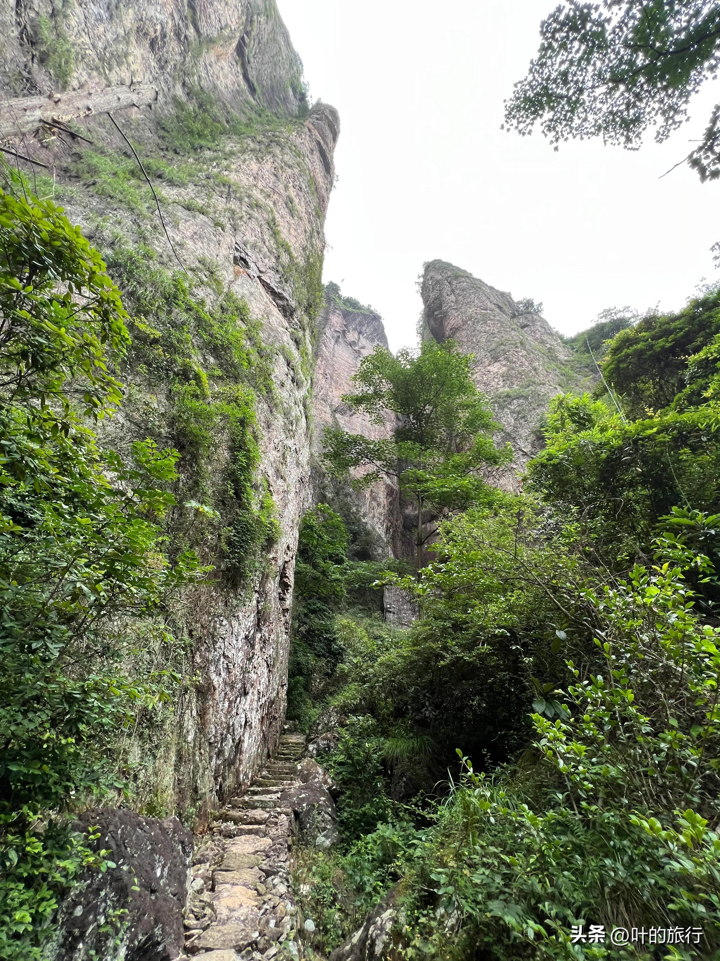 雁荡山好玩吗（雁荡山游玩体验及攻略分享）