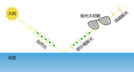 偏光太阳镜(开车为啥不能戴偏光镜)