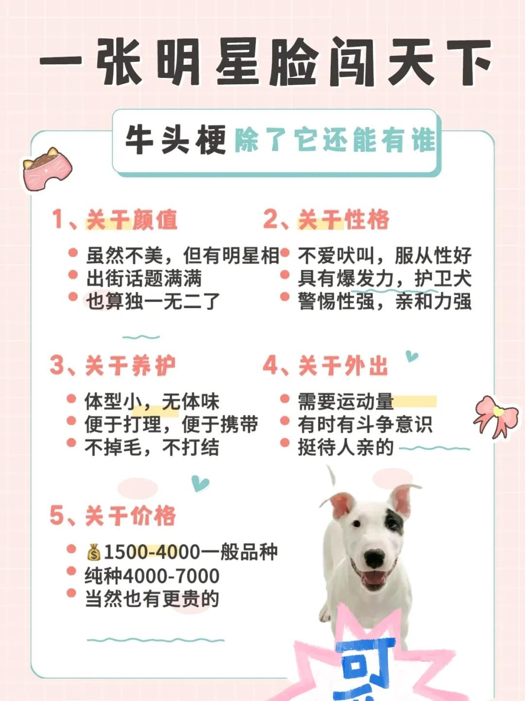 威尔士梗多少钱（购买威尔士梗犬的价格指南）