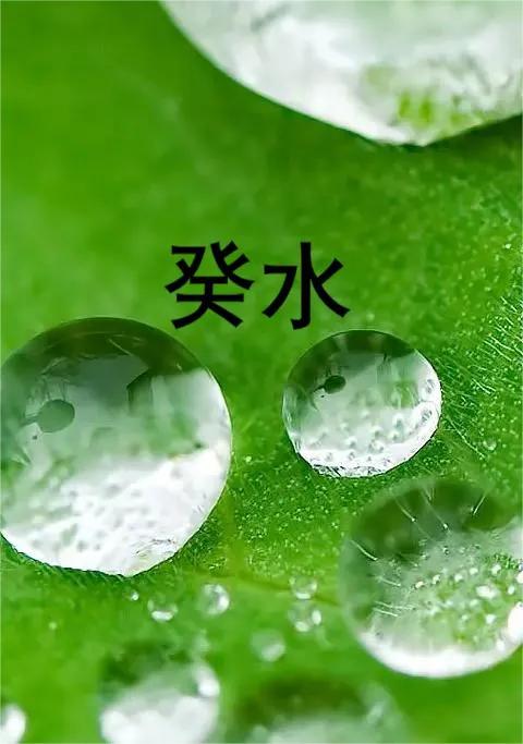 天干之水日主壬癸（天干壬癸水透出代表什么）