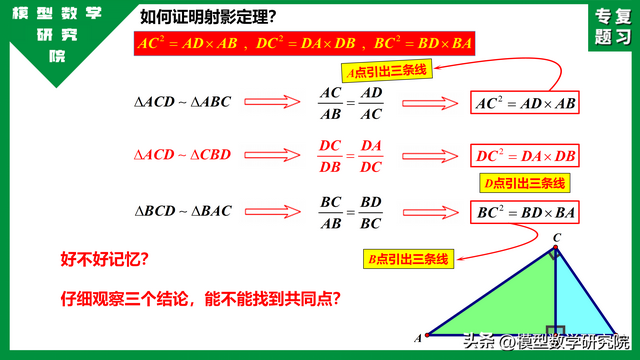 什么是数学上的射影定理，中考专题：射影定理小常识