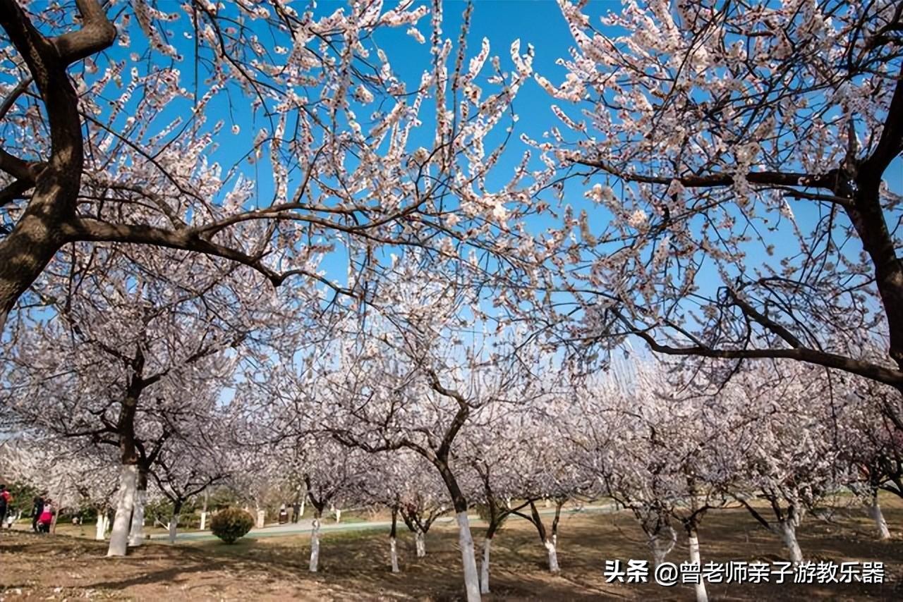 西安有什么好玩的地方（西安10大必游景区推荐）