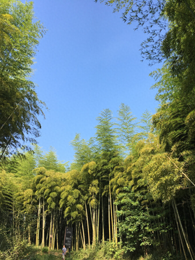 走进三角山风景区，打卡别样春色！