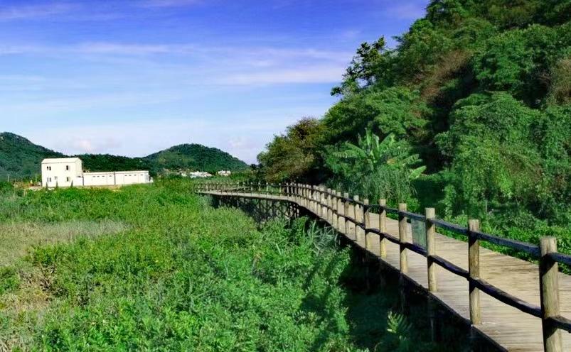 深圳有什么好玩的地方（深圳十大必玩景点推荐）