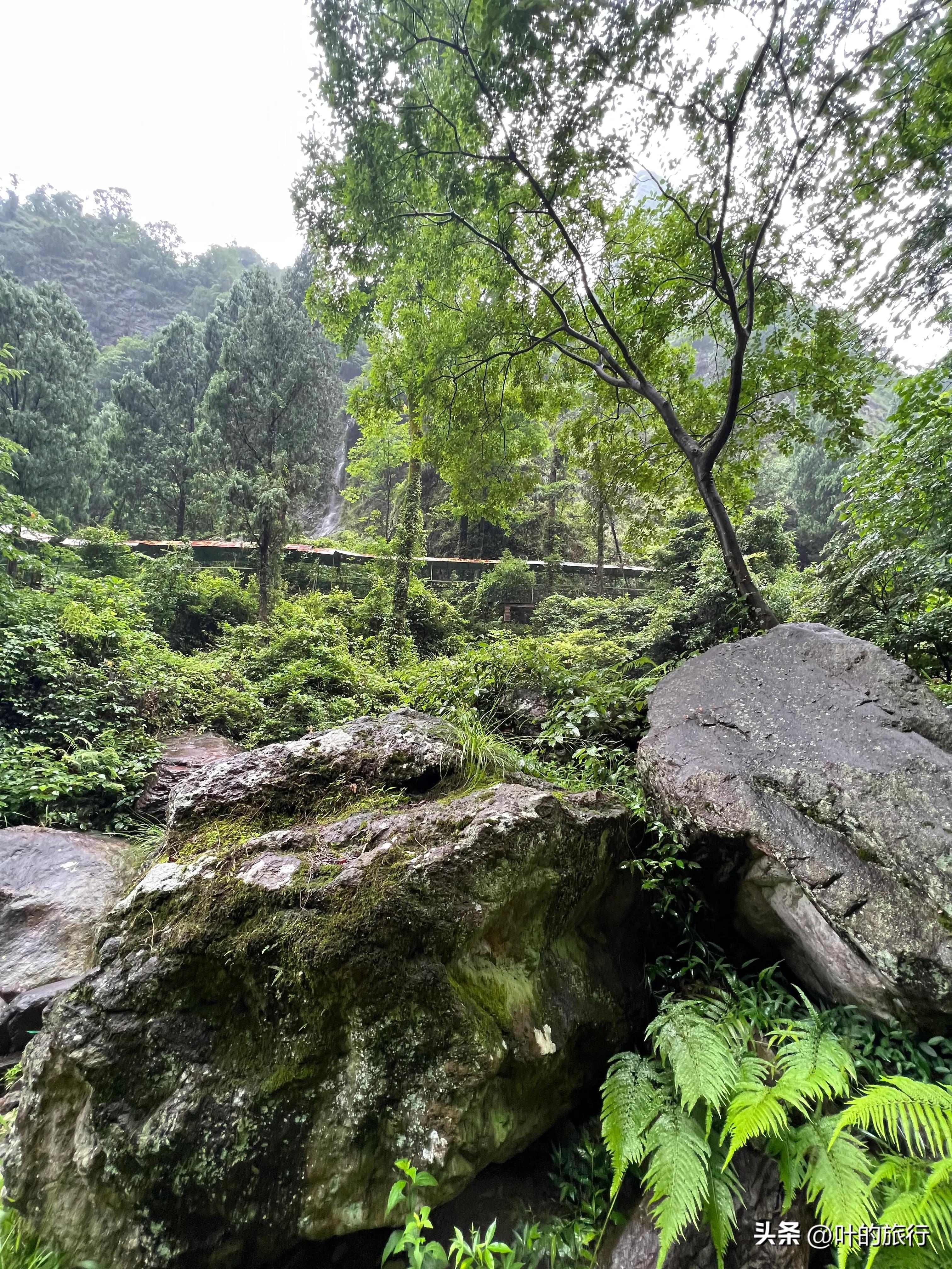 雁荡山好玩吗（雁荡山游玩体验及攻略分享）