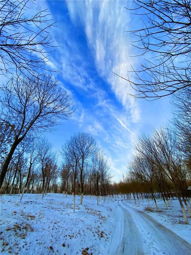 唐诗雪后初霁，雪后初晴古诗六首：倚杖望晴雪