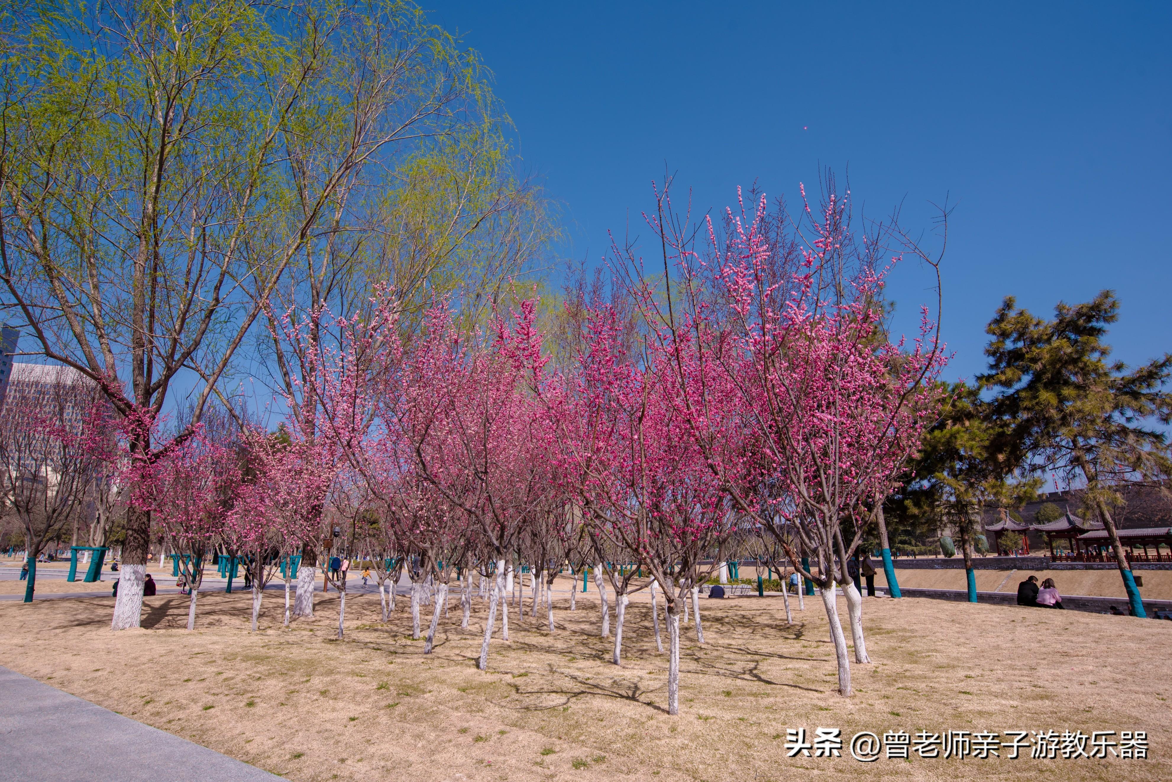 西安有什么好玩的地方（西安10大必游景区推荐）