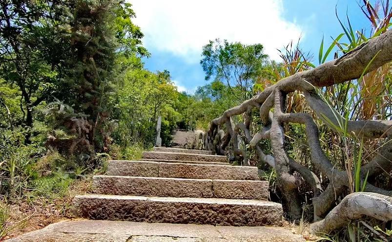 深圳旅游攻略景点推荐（揭秘深圳十大必玩景点）