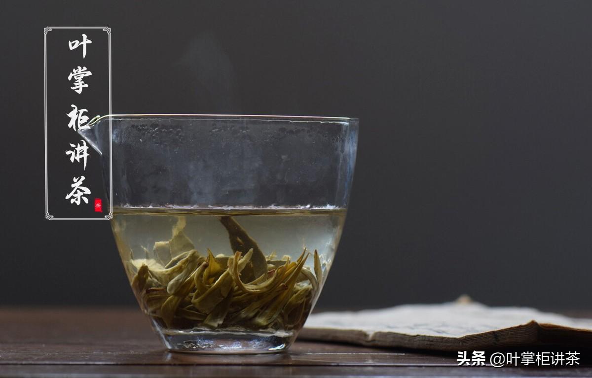 茉莉花茶属于什么茶（茉莉花茶正确冲泡的方法）