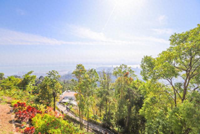 马来西亚最著名的景点之一，槟城升旗山，体验原生态雨林好去处
