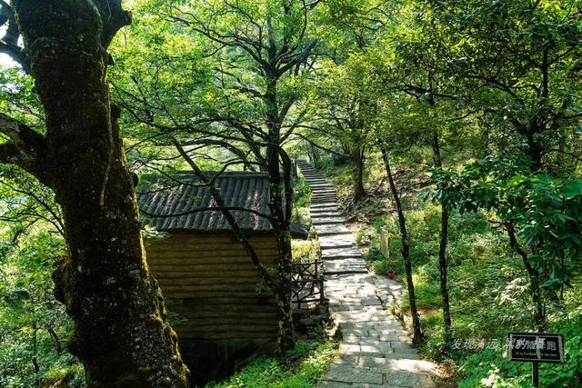 廣東第一峰(廣東第一峰能開車到山頂嗎)