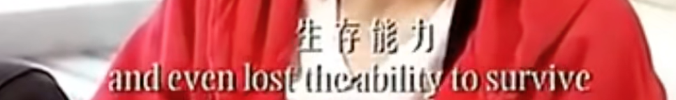 周星驰为什么不娶妻（周星驰最爱的女人揭秘）
