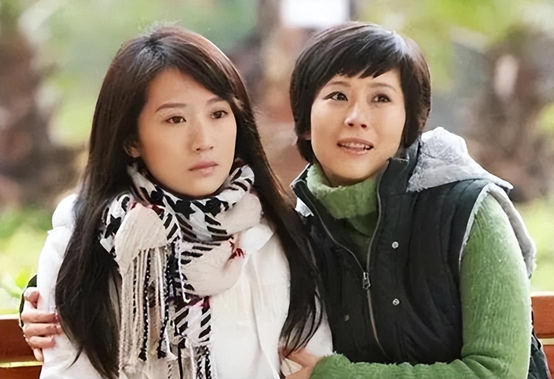 海清主演的电视剧有哪些（海清代表作及如今现状介绍）