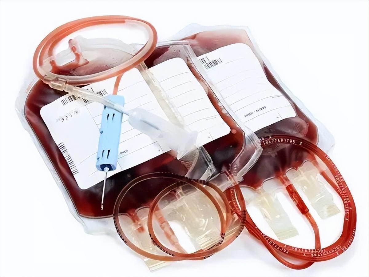 增强免疫力和抗病能力以及可以预防各种疾病等,而且献血者的直系亲属