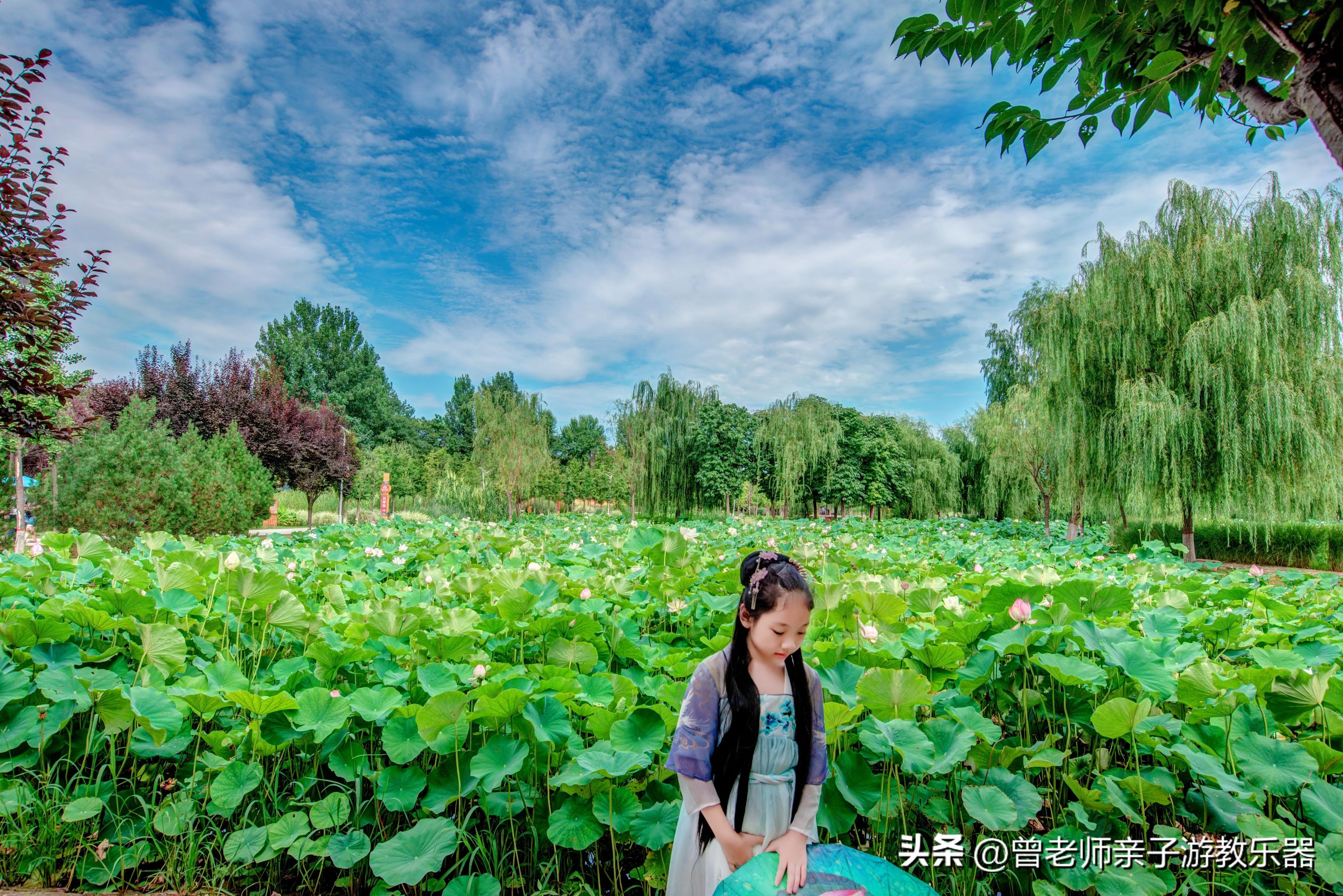 西安好玩的地方有哪些（盘点西安30个值得打卡的景区）