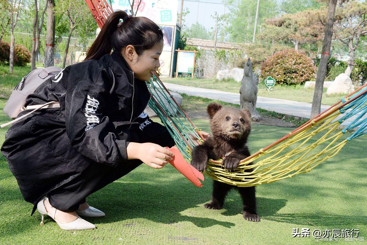 聊城有什么好玩的地方旅游景点（聊城十大必游景点推荐）