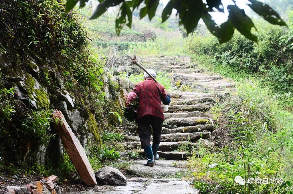 黄山自驾游攻略（黄山经典自驾路线分享）