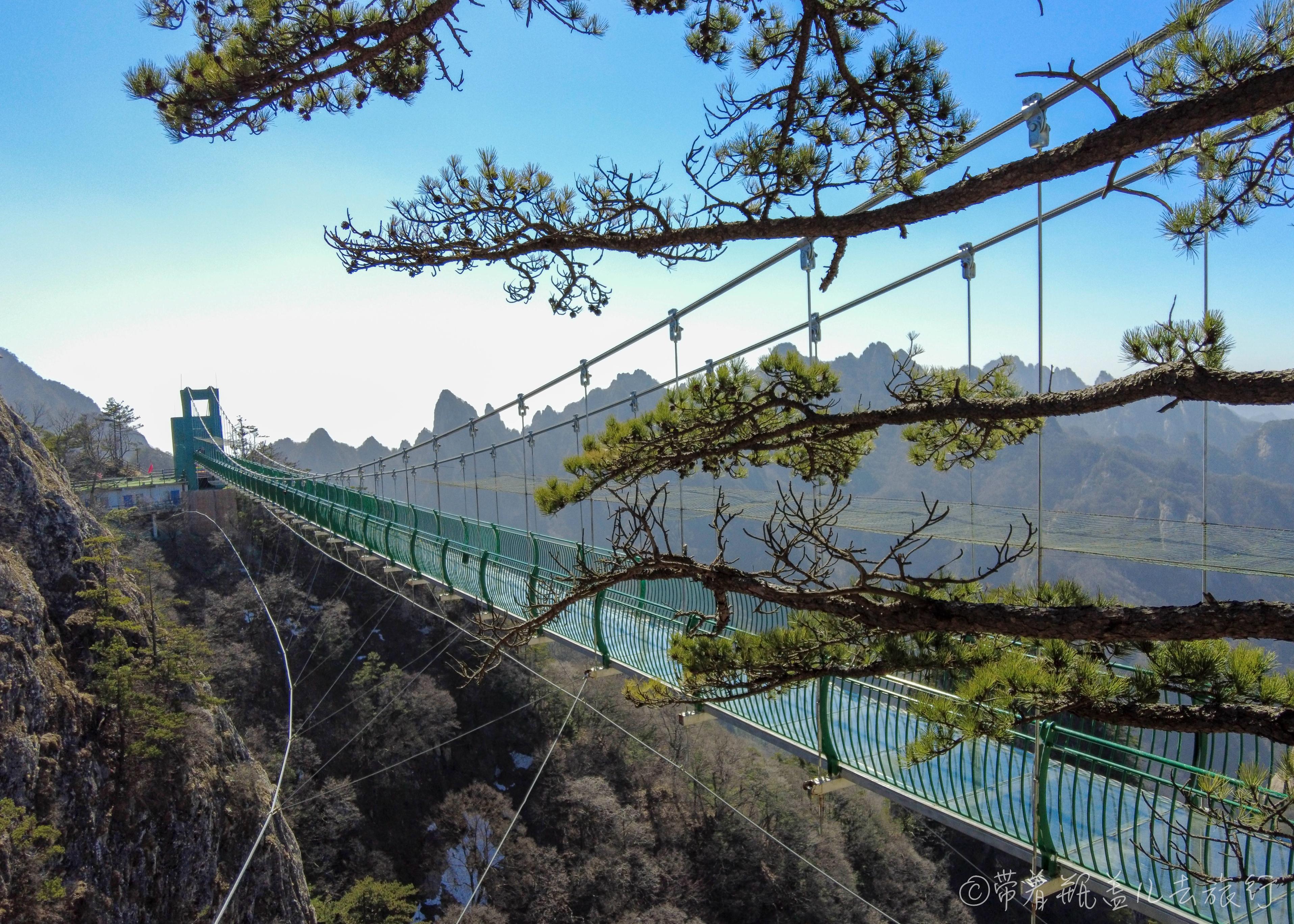 老君山风景区在哪里（洛阳老君山保姆级游玩攻略）