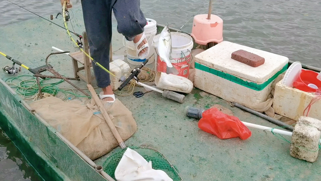 鲈鱼要吃什么饵，钓鲈鱼用什么饵料呢