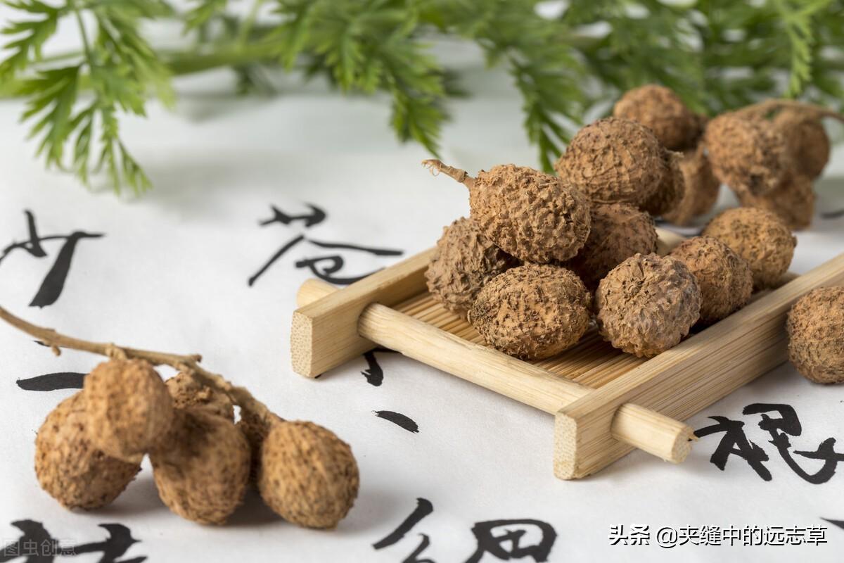 瘦子变胖最快的方法（瘦子变胖最快偏方）