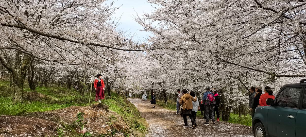 安顺旅游景点推荐（盘点安顺3个必游打卡地）