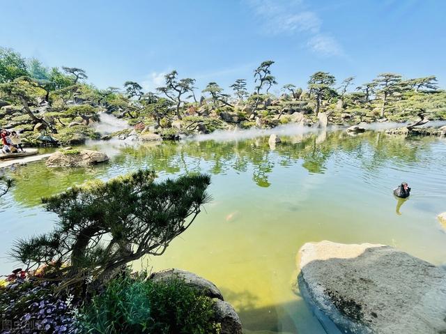 森鑫森林公園(順義森鑫森林公園照片)