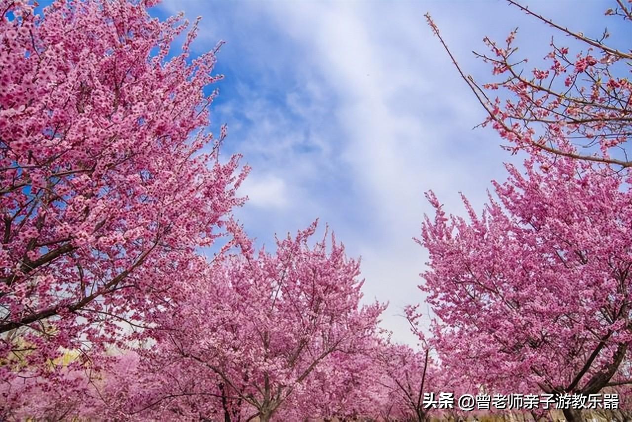 西安有什么好玩的地方（西安10大必游景区推荐）