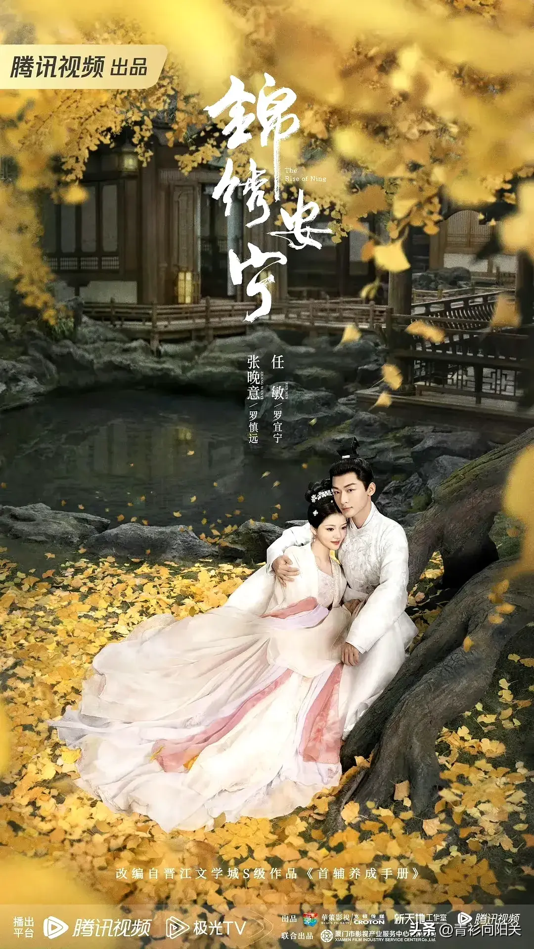 张晚意演过的电视剧有哪些（盘点张晚意4部待播新剧）