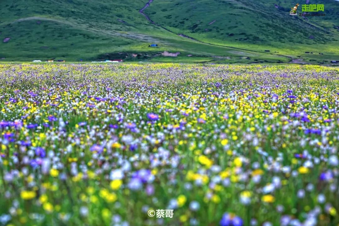 避暑去哪里旅游最好（盘点7/8月国内最清凉避暑地）