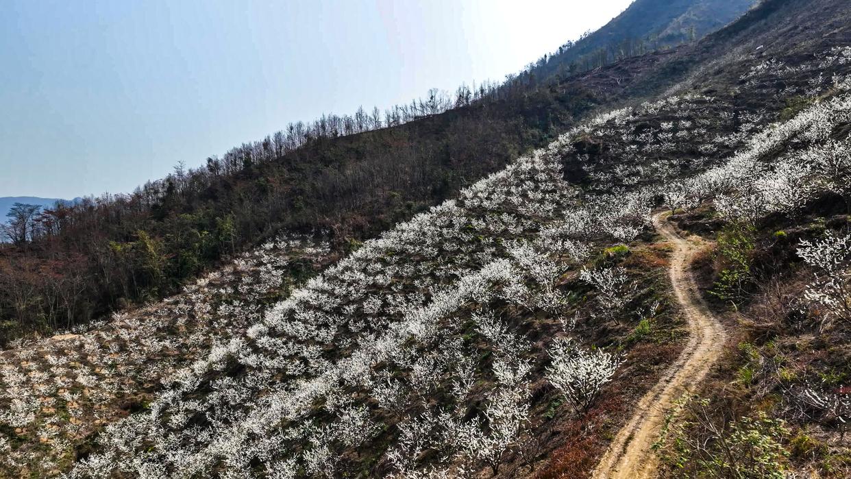 安顺旅游景点推荐（盘点安顺3个必游打卡地）