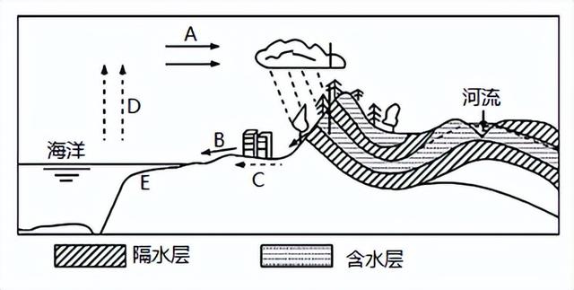 世界八大珍稀植物，2023届高考地理题型突破——必修一