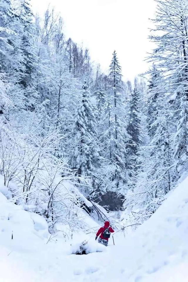 长白山滑雪攻略，冬季长白山滑雪攻略（“一主六双”精品冰雪线路）