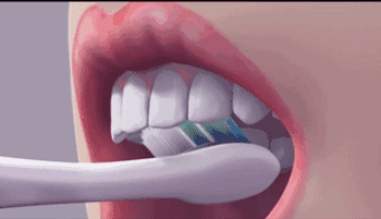 如何正确刷牙步骤（儿童正确刷牙方法示范）