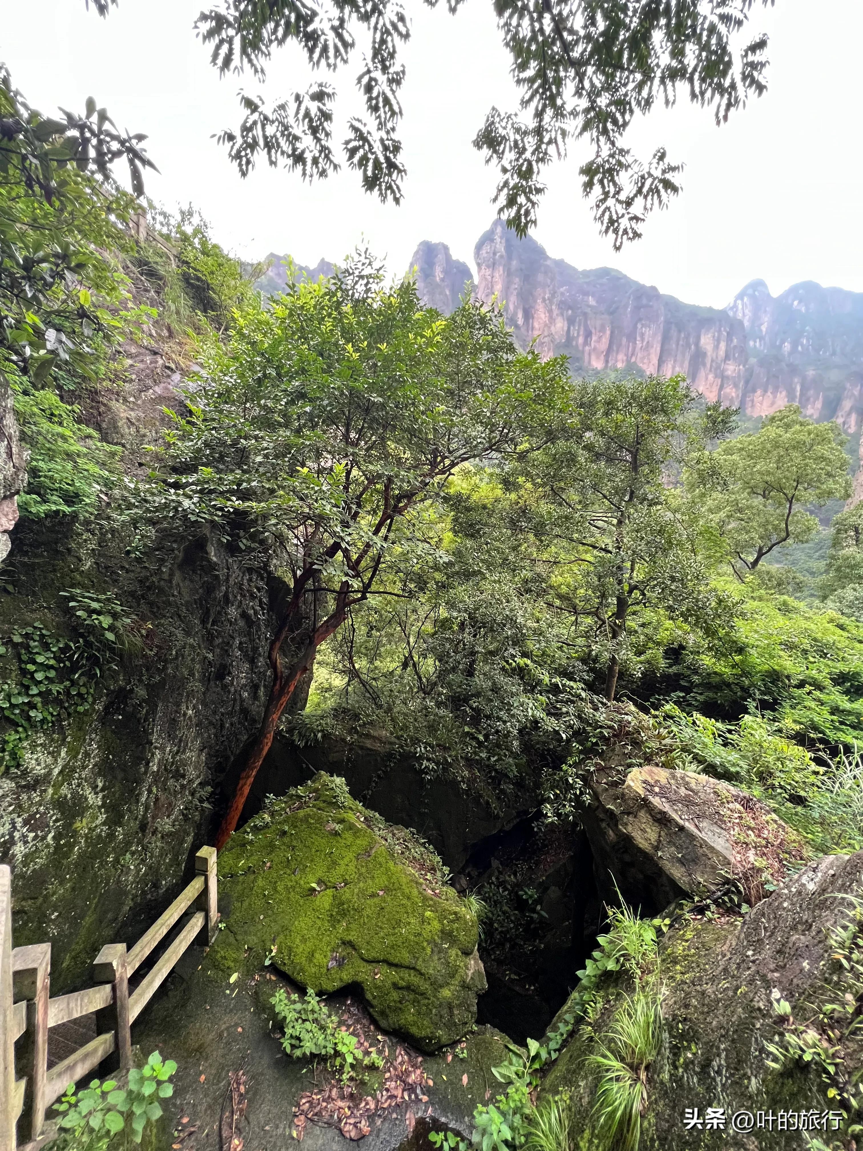 雁荡山好玩吗（雁荡山游玩体验及攻略分享）