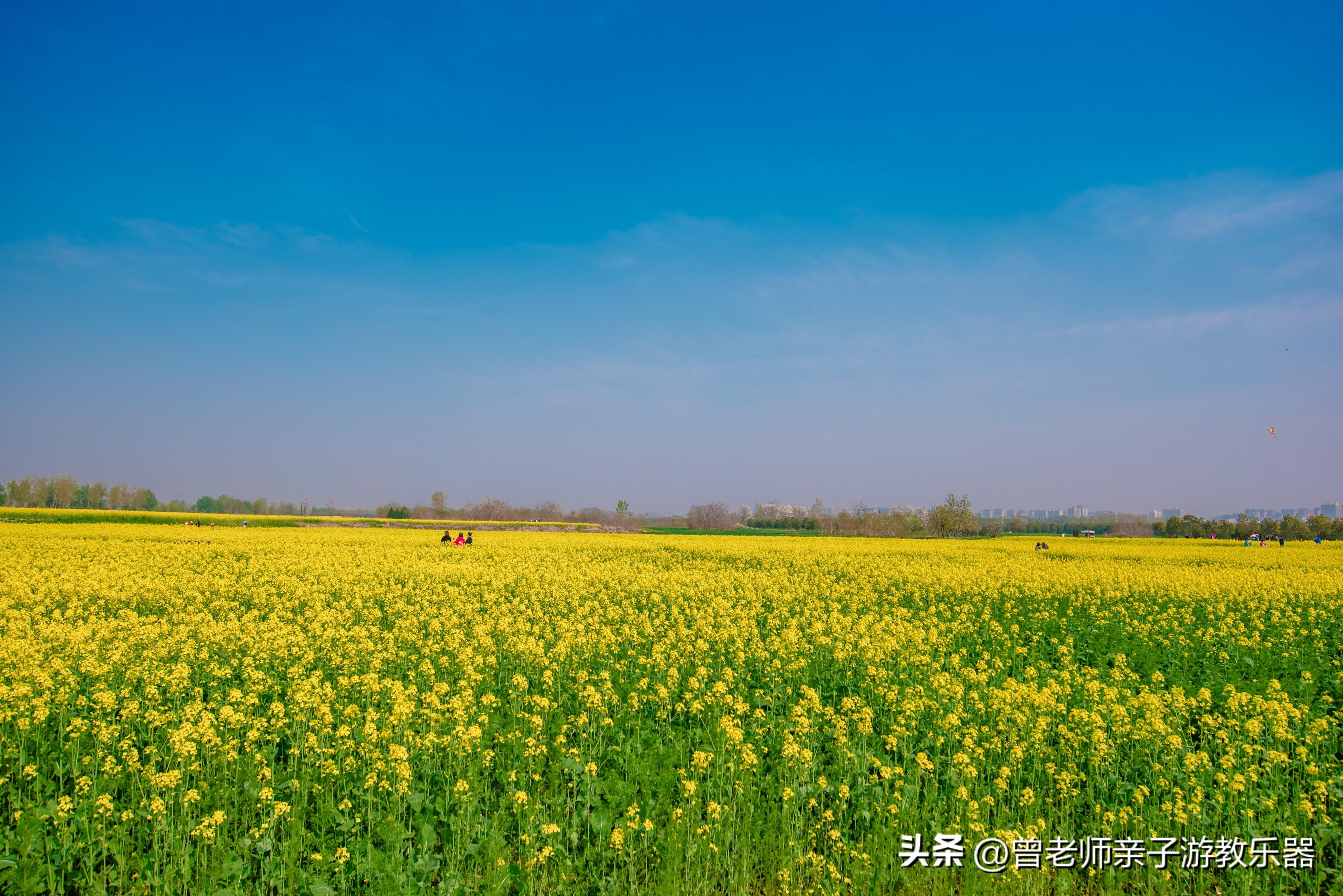 西安好玩的地方有哪些（盘点西安30个值得打卡的景区）