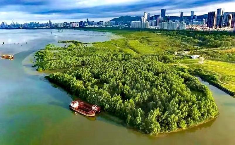 深圳有什么好玩的地方（深圳十大必玩景点推荐）