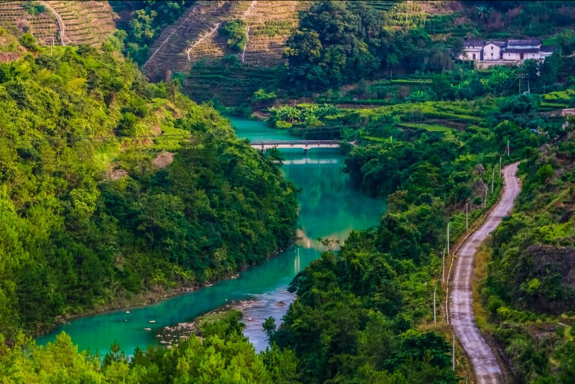 乌龙茶属于什么茶（乌龙茶种类及产地介绍）