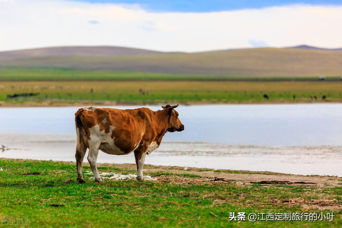 呼伦贝尔旅游景点攻略（附：自驾游路线推荐）