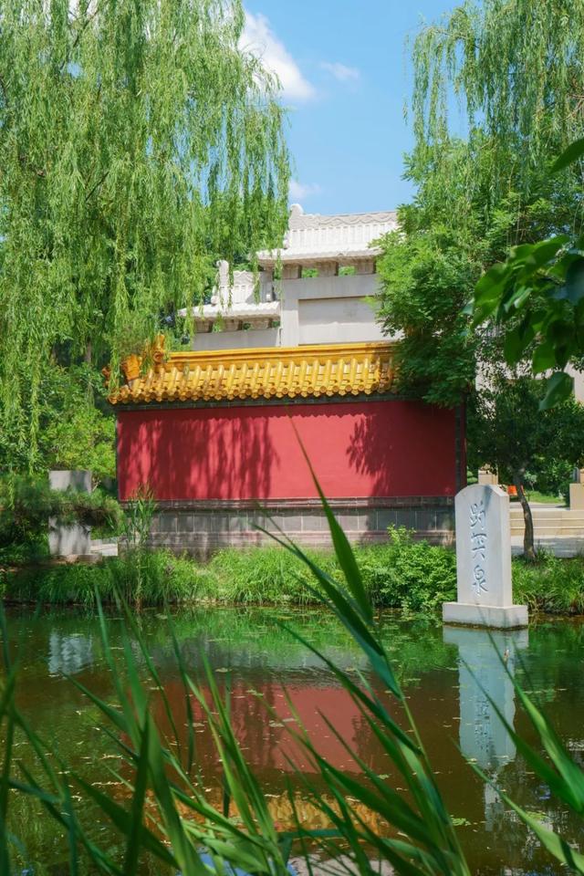 行走河南·读懂中国丨感受绿博园夏日的魅力​​​