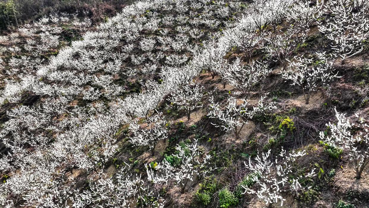 安顺旅游景点推荐（盘点安顺3个必游打卡地）