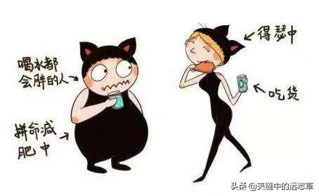 瘦子变胖最快的方法（瘦子变胖最快偏方）