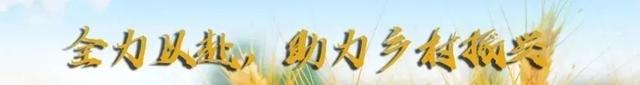 一路向北！是大兴安岭！</div>
				<div class=