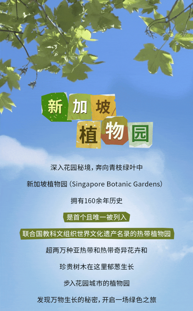 在狮城的花园里挖呀挖呀挖~ 周末打卡新加坡植物园